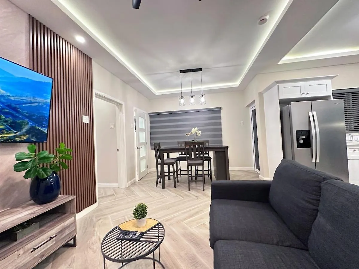 Modern And Cozy 1Br Condo In Kgn Kingston Apartment